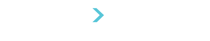 Feature Impact